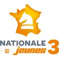 N3 jeunes : une courte défaite 6-4 contre Le Vésinet