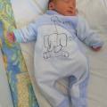 Carnet Rose : Antoine est n�