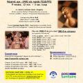 32e Open de Franconville Homologu� Rapide FIDE/FFE (-2400 elo)